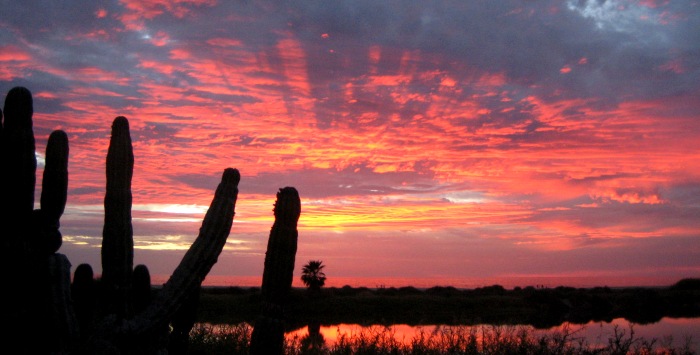 Sunset in Copper Canyon