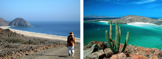 beautiful scenery of beach in Mexico